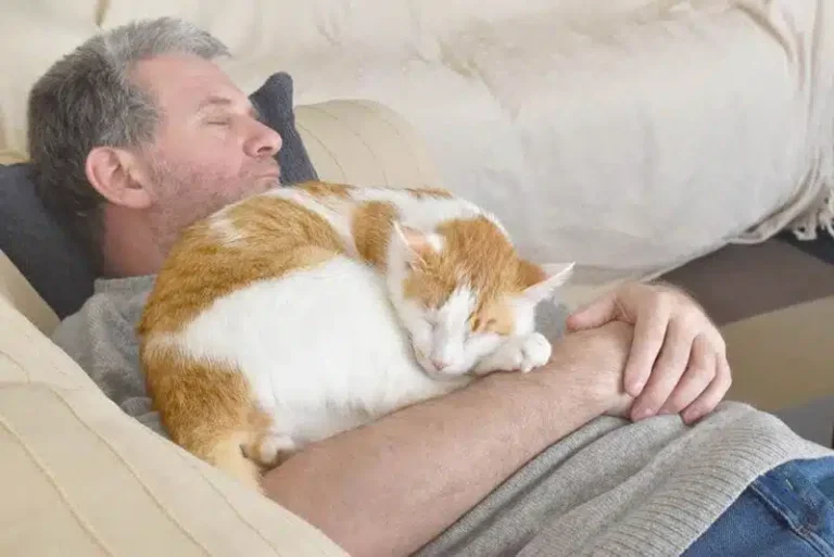 at sleeping near owner showing trust and love