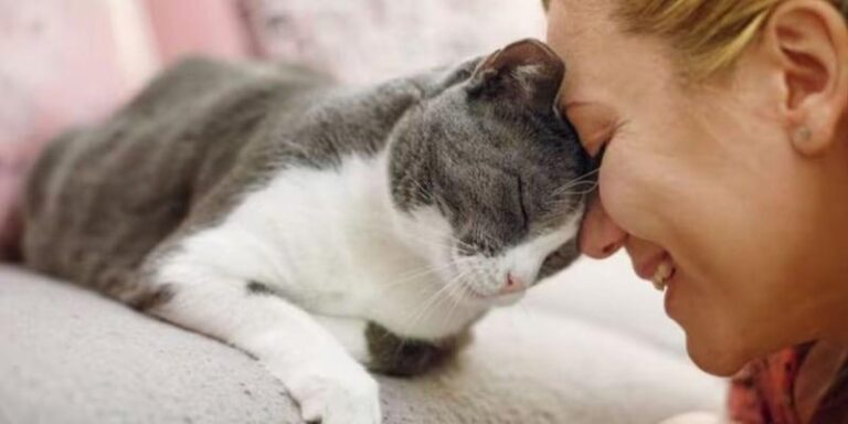 Slow blinking is one of the signs your cat has claimed you